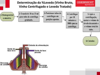 Determinação da %Levedo (Vinho Bruto,
Vinho Centrifugado e Levedo Tratado)
 