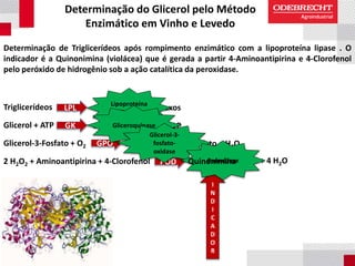 Determinação do Glicerol pelo Método
Enzimático em Vinho e Levedo
Determinação de Triglicerídeos após rompimento enzimático com a lipoproteína lipase . O
indicador é a Quinonimina (violácea) que é gerada a partir 4-Aminoantipirina e 4-Clorofenol
pelo peróxido de hidrogênio sob a ação catalítica da peroxidase.
Triglicerídeos
Glicerol + ATP
Glicerol-3-Fosfato + O2
2 H2O2 + Aminoantipirina + 4-Clorofenol
LPL
GK
GPO
POD
I
N
D
I
C
A
D
O
R
Glicerol + Ácidos Graxos
Glicerol-3-Fosfato + ADP
Dihidroxiacetona Fosfato + H2O2
+ HCl + 4 H2O
Lipoproteína
lipase
Gliceroquinase
Glicerol-3-
fosfato-
oxidase
PeroxidaseQuinonimina
 