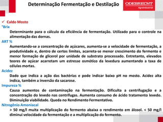 Determinação Fermentação e Destilação
 Caldo Mosto
°Brix
Determinante para o cálculo da eficiência de fermentação. Utilizado para o controle na
alimentação das dornas.
ART %
Aumentando-se a concentração de açúcares, aumenta-se a velocidade de fermentação, a
produtividade e, dentro de certos limites, acarreta-se menor crescimento do fermento e
menor formação de glicerol por unidade de substrato processado. Entretanto, elevados
teores de açúcar acarretam um estresse osmótico da levedura aumentando a taxa de
células mortas.
Acidez
Dado que indica a ação das bactérias e pode indicar baixo pH no mosto. Acidez alta
indica, também a inversão da sacarose.
Impureza %
Causa aumentos de contaminação na fermentação. Dificulta a centrifugação e a
concentração do levedo nas centrífugas. Aumenta consumo de ácido tratamento levedo.
Diminuição viabilidade. Queda no Rendimento Fermentativo.
Nitrogênio Amoniacal
> 50 mg/l muita multiplicação do fermento abaixa o rendimento em álcool. < 50 mg/l
diminui velocidade da fermentação e a multiplicação do fermento.
 
