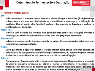 Determinação Fermentação e Destilação
 Fermento Tratado (Cuba)
pH
Indica como está o meio em que as leveduras vivem. Um pH muito baixo (ácido) restringe
o brotamento da levedura diminuindo sua viabilidade e restringe a proliferação de
bactérias. Um pH muito alto (alcalino) acelera o brotamento da levedura e acelera a
proliferação das bactérias.
Álcool (°GL)
Indica o teor alcoólico na levedura que possivelmente tenha sido carregado durante a
centrifugação. O teor alcoólico deve ser baixo para não prejudicar a levedura.
Fermento %
Indica a porcentagem de levedura contida na cuba. Alta concentração indica um bom
funcionamento das centrífugas.
Acidez
Dado que indica a ação das bactérias e pode indicar baixo pH no fermento ocasionado
pelo excesso de dosagem de ácido sulfúrico para tratamento, ou até mesmo pode ocorrer
acidez alta provocada por °GL alto nas cubas por falha na centrifugação.
Glicerol
Formado pelas leveduras durante o processo de fermentação. Quanto maior a produção
de glicerol, menor a produção de etanol e menor o rendimento fermentativo. São
produzidos em decorrência de fatores que podem estressar a levedura, como: brix alto do
mosto, altos teores de sulfito ou potássio no mosto, biótipo de levedura, etc.
 
