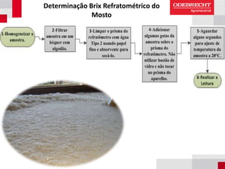 Determinação Brix Refratométrico do
Mosto
 