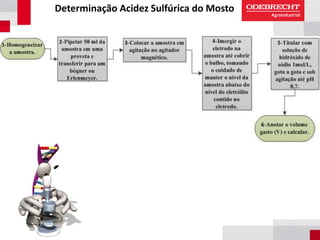 Determinação Acidez Sulfúrica do Mosto
 