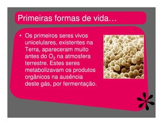 FermentaçãO E RespiraçãO