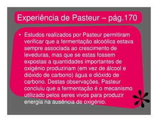 FermentaçãO E RespiraçãO