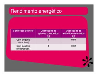 FermentaçãO E RespiraçãO