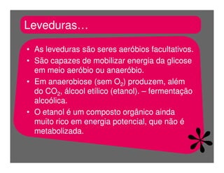 FermentaçãO E RespiraçãO