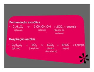FermentaçãO E RespiraçãO