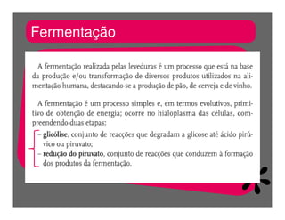 FermentaçãO E RespiraçãO