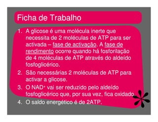 FermentaçãO E RespiraçãO