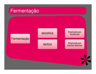 FermentaçãO E RespiraçãO