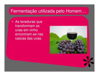 FermentaçãO E RespiraçãO