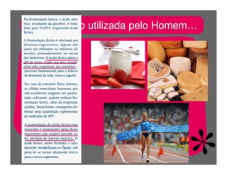 FermentaçãO E RespiraçãO