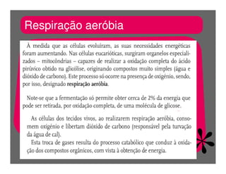 FermentaçãO E RespiraçãO