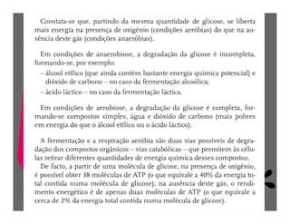 FermentaçãO E RespiraçãO