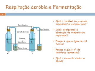 Qual a variável no processo experimental considerado? Como interpretas a alteração de temperatura registada? Porque é que a água de cal turvou?  Porque é que o nº de leveduras aumentou?  Qual a causa do cheiro a álcool? Respiração aeróbia e Fermentação 