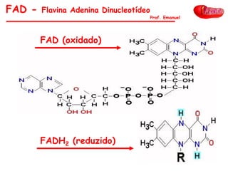 FAD - Flavina Adenina Dinucleotídeo
FAD (oxidado)
FADH2 (reduzido)
Prof. Emanuel
 