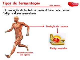 • A produção de lactato na musculatura pode causar
fadiga e dores musculares
Tipos de fermentação Prof. Emanuel
Produção de Lactato
Fadiga muscular
Atividade muscular
com hipóxia
 