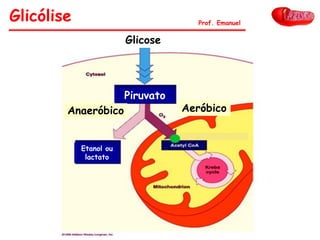 Glicólise Prof. Emanuel
Glicose
Etanol ou
lactato
Anaeróbico Aeróbico
Piruvato
 