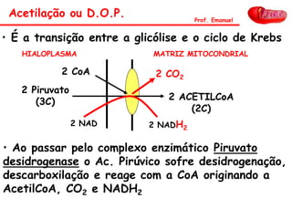 • É a transição entre a glicólise e o ciclo de Krebs
HIALOPLASMA MATRIZ MITOCONDRIAL
2 Piruvato
(3C) 2 ACETILCoA
(2C)
2 NAD 2 NADH2
2 CoA 2 CO2
• Ao passar pelo complexo enzimático Piruvato
desidrogenase o Ac. Pirúvico sofre desidrogenação,
descarboxilação e reage com a CoA originando a
AcetilCoA, CO2 e NADH2
Acetilação ou D.O.P. Prof. Emanuel
 