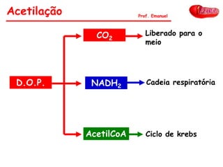 Acetilação Prof. Emanuel
D.O.P.
CO2
NADH2
AcetilCoA
Liberado para o
meio
Cadeia respiratória
Ciclo de krebs
 