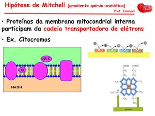 • Proteínas da membrana mitocondrial interna
participam da cadeia transportadora de elétrons
• Ex. Citocromos
Hipótese de Mitchell (gradiente quimio-osmótico)
Prof. Emanuel
 