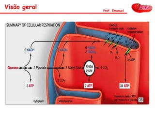 Visão geral Prof. Emanuel
 