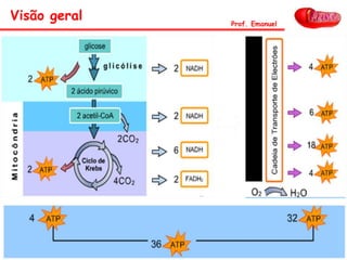 Visão geral Prof. Emanuel
 