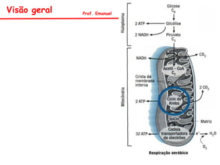 Visão geral Prof. Emanuel
 