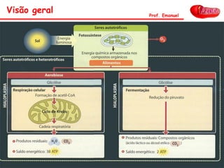 Visão geral Prof. Emanuel
 