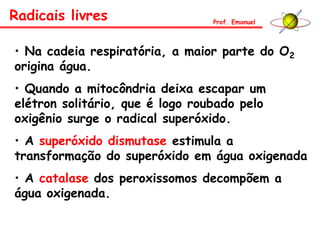 • Na cadeia respiratória, a maior parte do O2
origina água.
• Quando a mitocôndria deixa escapar um
elétron solitário, que é logo roubado pelo
oxigênio surge o radical superóxido.
• A superóxido dismutase estimula a
transformação do superóxido em água oxigenada
• A catalase dos peroxissomos decompõem a
água oxigenada.
Radicais livres Prof. Emanuel
 