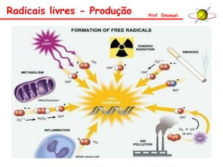 Radicais livres - Produção Prof. Emanuel
 