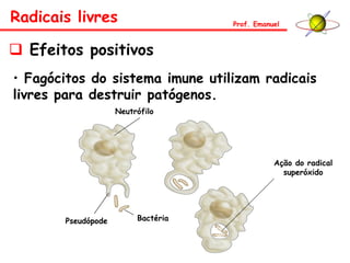 Radicais livres Prof. Emanuel
 Efeitos positivos
• Fagócitos do sistema imune utilizam radicais
livres para destruir patógenos.
Pseudópode Bactéria
Neutrófilo
Ação do radical
superóxido
 