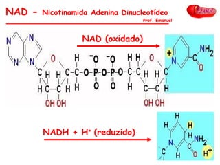 NAD - Nicotinamida Adenina Dinucleotídeo
NAD (oxidado)
NADH + H+ (reduzido)
Prof. Emanuel
 
