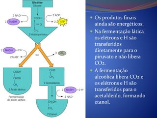  Os produtos finais
ainda são energéticos.
 Na fermentação lática
os elétrons e H são
transferidos
diretamente para o
piruvato e não libera
CO2.
 A fermentação
alcoólica libera CO2 e
os elétrons e H são
transferidos para o
acetaldeído, formando
etanol.
 