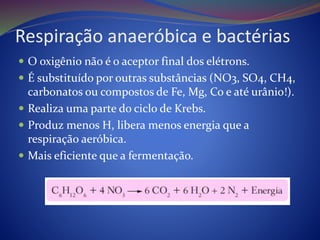 Respiração anaeróbica e bactérias
 O oxigênio não é o aceptor final dos elétrons.
 É substituído por outras substâncias (NO3, SO4, CH4,
carbonatos ou compostos de Fe, Mg, Co e até urânio!).
 Realiza uma parte do ciclo de Krebs.
 Produz menos H, libera menos energia que a
respiração aeróbica.
 Mais eficiente que a fermentação.
 
