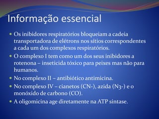 Informação essencial
 Os inibidores respiratórios bloqueiam a cadeia
transportadora de elétrons nos sítios correspondentes
a cada um dos complexos respiratórios.
 O complexo I tem como um dos seus inibidores a
rotenona – inseticida tóxico para peixes mas não para
humanos.
 No complexo II – antibiótico antimicina.
 No complexo IV – cianetos (CN-), azida (N3-) e o
monóxido de carbono (CO).
 A oligomicina age diretamente na ATP sintase.
 