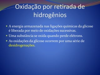Oxidação por retirada de
hidrogênios
 A energia armazenada nas ligações químicas da glicose
é liberada por meio de oxidações sucessivas.
 Uma substância se oxida quando perde elétrons.
 As oxidações da glicose ocorrem por uma série de
desidrogenações.
 