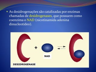  As desidrogenações são catalizadas por enzimas
chamadas de desidrogenases, que possuem como
coenzima o NAD (nicotinamida adenina
dinucleotídeo).
 