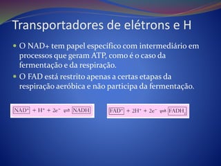 Transportadores de elétrons e H
 O NAD+ tem papel específico com intermediário em
processos que geram ATP, como é o caso da
fermentação e da respiração.
 O FAD está restrito apenas a certas etapas da
respiração aeróbica e não participa da fermentação.
 