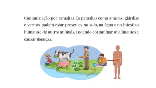 Contaminação por parasitas Os parasitas como amebas, giárdias
e vermes podem estar presentes no solo, na água e no intestino
humano e de outros animais, podendo contaminar os alimentos e
causar doenças.
 