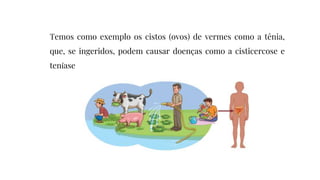 Temos como exemplo os cistos (ovos) de vermes como a tênia,
que, se ingeridos, podem causar doenças como a cisticercose e
teníase
 