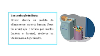 Contaminação Indireta:
Ocorre através do contato do
alimento com material humano (fezes
ou urina) que é levado por insetos
(moscas e baratas), roedores ou
utensílios mal higienizados.
 