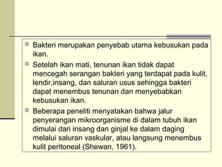  Bakteri merupakan penyebab utama kebusukan pada

ikan.
 Setelah ikan mati, tenunan ikan tidak dapat
mencegah serangan bakteri yang terdapat pada kulit,
lendir,insang, dan saluran usus sehingga bakteri
dapat menembus tenunan dan menyebabkan
kebusukan ikan.
 Beberapa peneliti menyatakan bahwa jalur
penyerangan mikroorganisme di dalam tubuh ikan
dimulai dari insang dan ginjal ke dalam daging
melalui saluran vaskular, atau langsung menembus
kulit peritoneal (Shewan, 1961).

 