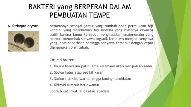 Teknologi Fermentasi Pada Tempe Teknologi Fermentasi Pada Tempe