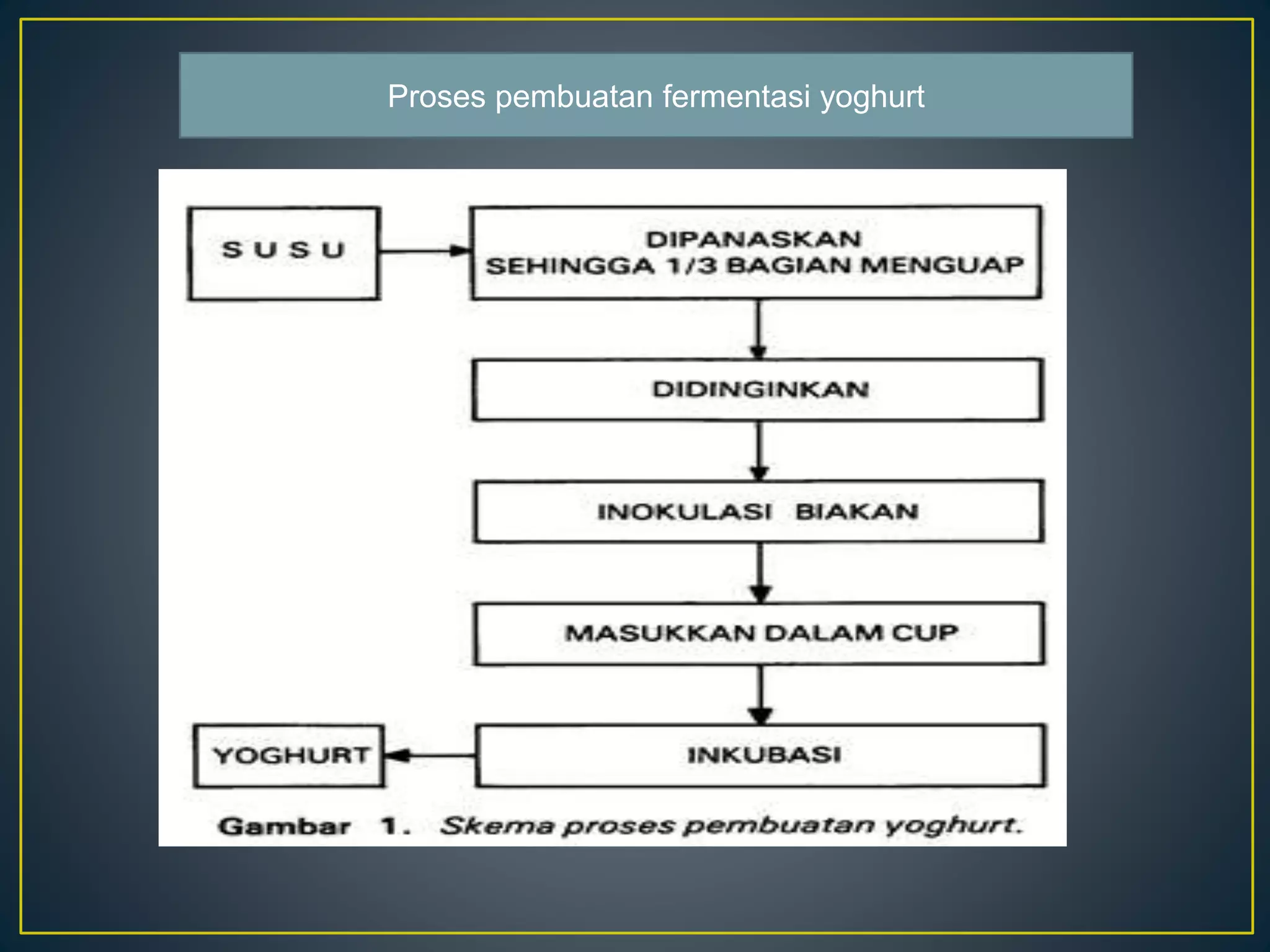 Fermentasi Yoghurt - Proses Respirasi Anaerob | PPTX