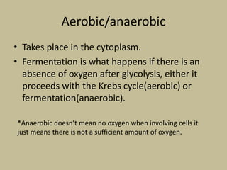 Aerobic/anaerobic
• Takes place in the cytoplasm.
• Fermentation is what happens if there is an
absence of oxygen after glycolysis, either it
proceeds with the Krebs cycle(aerobic) or
fermentation(anaerobic).
*Anaerobic doesn’t mean no oxygen when involving cells it
just means there is not a sufficient amount of oxygen.
 