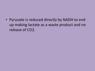 • Pyruvate is reduced directly by NADH to end
up making lactate as a waste product and no
release of CO2.
 