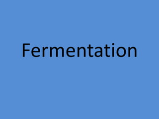 Fermentation
 