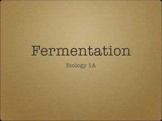 Fermentation
    Biology 1A
 