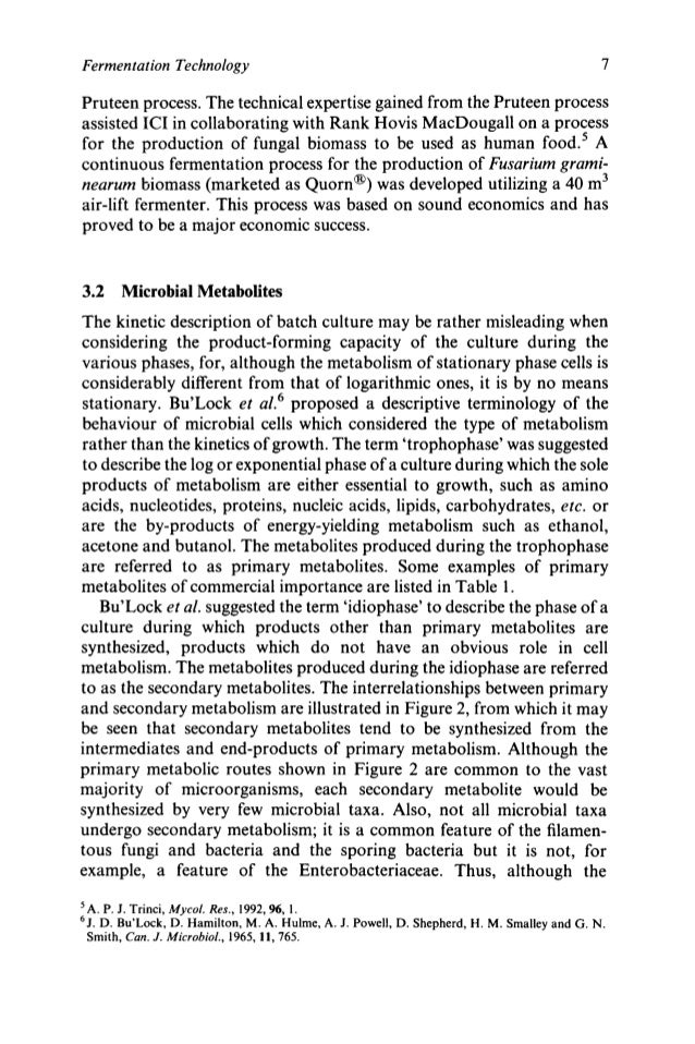Essay on fermentation technology